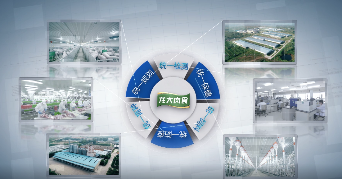 金世豪·(中国区)有限公司官网