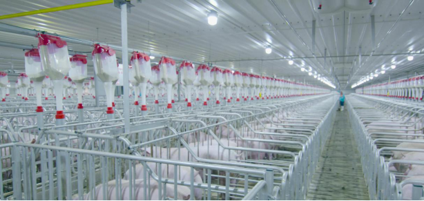 ��������(�й���)���޹�˾����