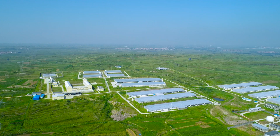 ͼƬ1.png ½ðÊÀºÀ¡¤(ÖйúÇø)ÓÐÏÞ¹«Ë¾¹ÙÍø