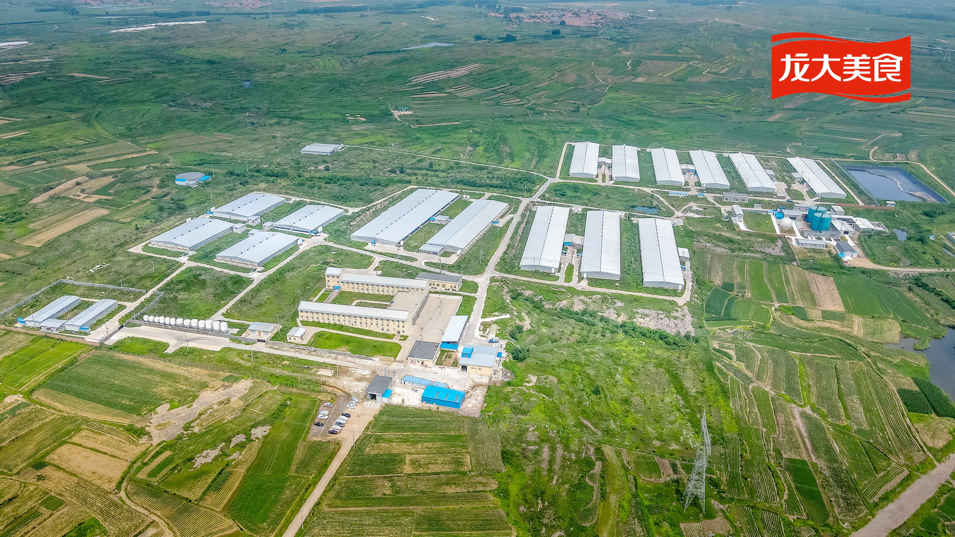 ��������ʳ˳���������ɺ������������������������������������������У�